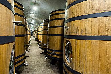 《上古卷轴5》周年纪念版升级概述预告片分享